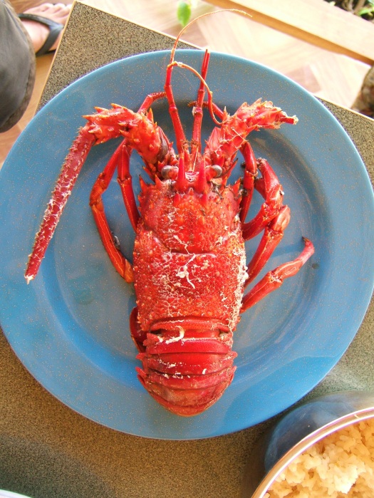 lobster served